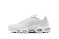 Nike Air Max Plus "white" sneakers